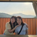 와이디헤어 - 104926 | 와이디헤어