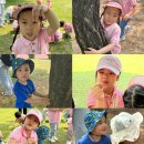 도토리숲속학교 이미지