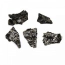 아리랑과학 이미지