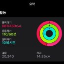 메트로푸드타운