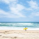 삼박한집 이미지