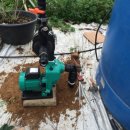 관수농장 이미지