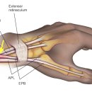 신갈한의원 이미지
