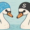 N년차 수영인이 직접 써본 수모, 수영복, 수경, 오리발 후기