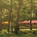 은행나무 펜션 이미지