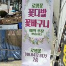 용신로 | 안산 꽃집 추천 본오동 꽃다발 주문 제작 후기! 로망꽃 상록수본오본점