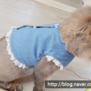 모띠앙 이미지