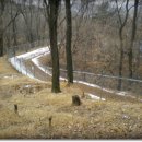 여우쉼터 이미지