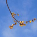 노안초등학교 이미지