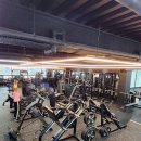 지니월드짐 이미지