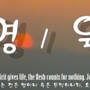 영과육 이미지