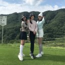 골프에반하다