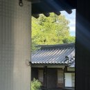 사랑채 민박 | 7월 안동 가족여행 숙소 추천, 안동 치암고택 사랑채 솔직후기