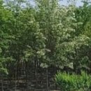 수목부동산중개사무소 이미지