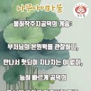 《왕생론》요의 이미지