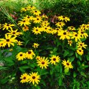 광주희망병원 이미지