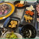 신마포갈매기 이미지