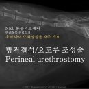 아이넬 헤어