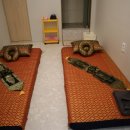 숲속세신 이미지