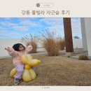 안현로 | 4개월 아기와 4살 아이 부모님과 강릉 키즈풀빌라 자근숩 후기
