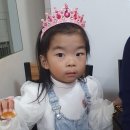 개미청과
