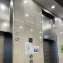 가득한 직장인의 성수 사주 잘보는 곳 다녀온 후기; 사주오행, 비겁, 재성, 을목, 대운, 역마살 사주풀이