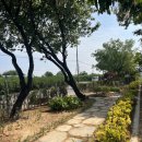 성당면행정복지센터 이미지