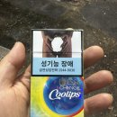 에쎄 체인지 쿨립스 솔직 후기: 자두 멘솔의 깔끔한 반전 매력