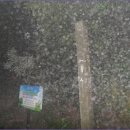 도내2리 이미지