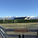 미정농장 | 뉴질랜드 허니문 '트위젤 에어비앤비' 숙소 추천 (+야외 핫텁/별 구경/조리가능)