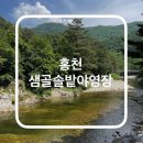 홍천 계곡 캠핑장 샘골솔밭캠핑장 A5 |위치 명당 내돈내산|