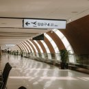 세화복우동 | 2박 3일 | 혼자 조용히 제주도 여행 (1)