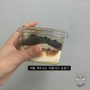 낙원민속촌 | 4: 생각지 못한 선물들과 다시 돌아온 돼뇽이🐷(우리의 낙원에서 만나자,미니 붕어빵,메리온, 헌터롱부츠)