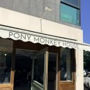 몽키하우스 | 원주 ‘포니몽키하우스’ 내돈내산 솔직후기