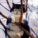 부엉이PC 이미지