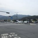 (주)청미디어텍 | [충청북도 제천 벚꽃 여행] 의림지 벚꽃 명소 방문 후기｜벚꽃현황·주차팁 정리