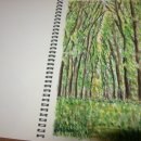 나무와 숲 이미지