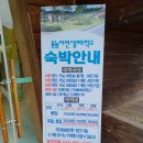 만대리 | 대암산(강원 양구군, 인제군)~대암산 등산코스, 용늪