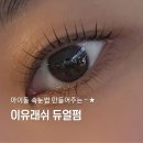 Lash(래시) | 광진구 건대 속눈썹 이유래쉬의 듀얼펌 듀아아아 후기