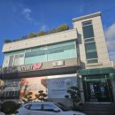 실버요가(초급) 이미지