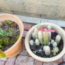 김박사약국 이미지