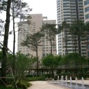 씨티(합동) 공인중개사사무소 이미지