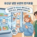 베름이뮨헬스