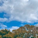 샌드위치&샐러드 이미지