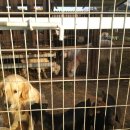 보들농장 이미지