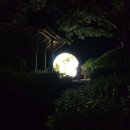 아이포레스트