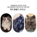 매직 크리너 이미지