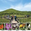 곰배령 - 춘천시 | 곰배령