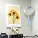 유나여행사(주) | 삼성블라인드 대전 사무실 블라인드 추천 &amp; 동학사 벚꽃구경 &amp; 선녀님과의 사주후기