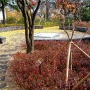 숭덕여자고등학교 내 이미지